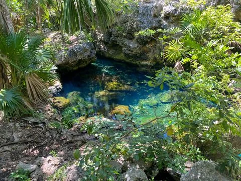 Eden Cenote Stock Photos