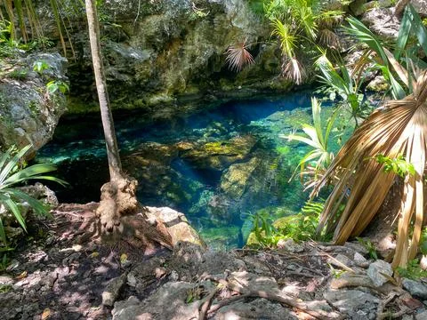 Eden Cenote 库存照片