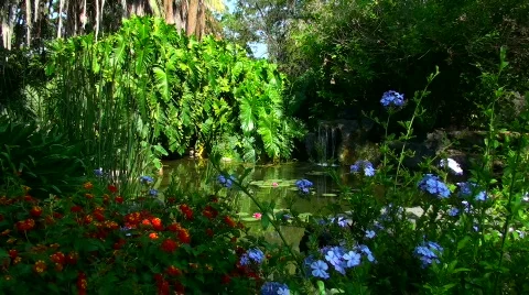 Eden - HD  Stock Footage 436268