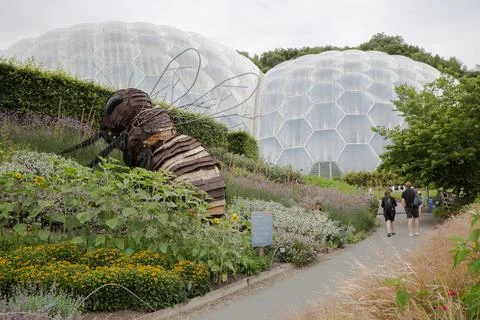 Eden Project - Cornwall - Flower bed and giant bee sculpture with bio domes Stock Photos