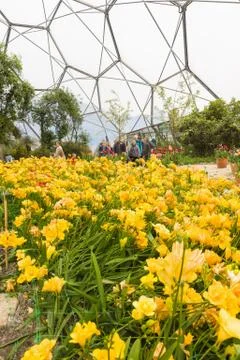 Eden Project Cornwall Stock Photos