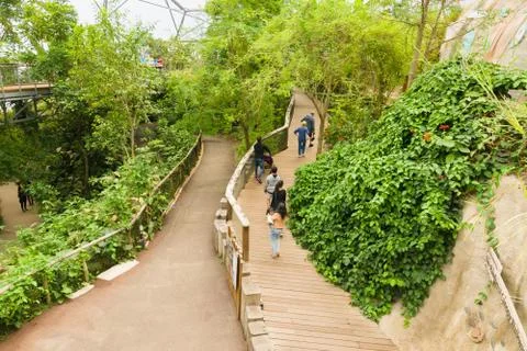 Eden Project Cornwall Stock Photos