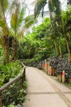Eden Project Cornwall Stock Photos