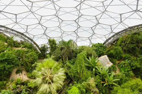 Eden Project Cornwall Foto stock