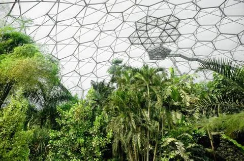 Eden Project Stock Photos