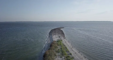 The edge of a bird island with a drone Stock Footage 117927228