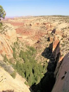 Edge of a canyon Foto stock