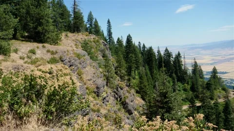 On the edge of a cliff Mt Emily valley view zoomorama Stock Footage 256627383
