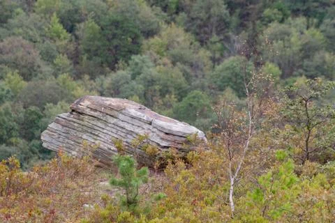 On edge of cliff Stock Photos