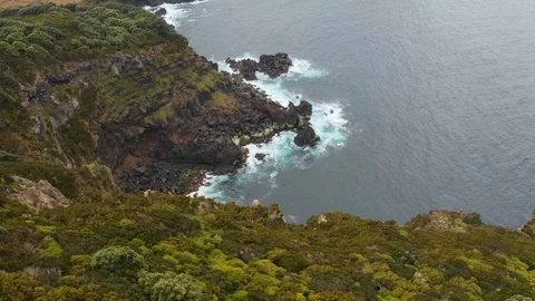 Edge of cliff with trees on top. Ocean waves wash stony shore. Aerial of Stock Footage 121270376