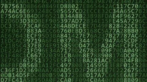 EDGE COMPUTING text consisting of many symbols on computer monitor. 3d animation Stock Footage 161841401