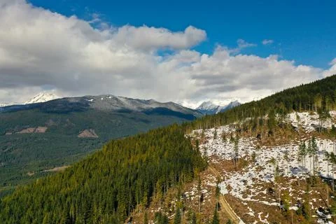 Edge of deforestation Stock Photos