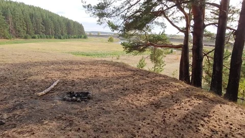 At the edge of the forest a bonfire Stock-Footage 162614520