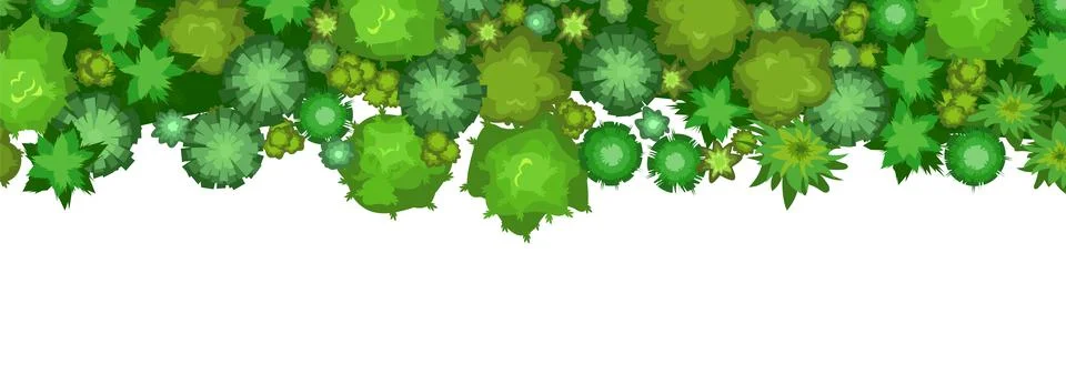 The edge of the forest. Border frame. Trees and shrubs. View from above. Plan Stock Illustration