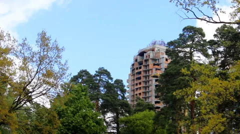 Edge of the forest Stock Footage 50137362