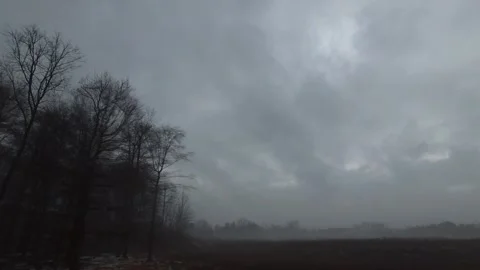 Edge of Forest Stock Footage 338409743