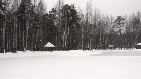Edge of the forest. Snow Covered trees. Panorama of winter landscape. 库存影片 85454859
