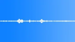 On the Edge of the ForestSound Effect