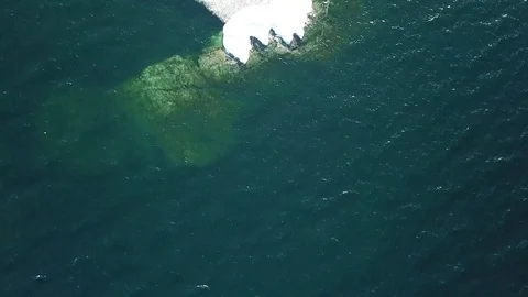 Edge of ice breakup 스톡 동영상 100135938