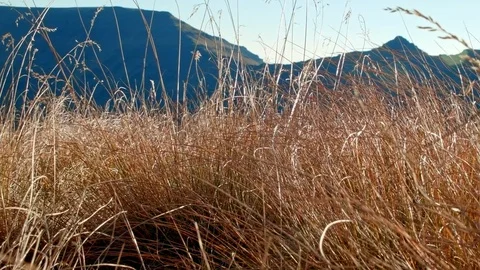 Edge of Kiger Gorge Summit Steens Mountain Near Malhuer Wildlife Refuge 10 Stock Footage 81661742