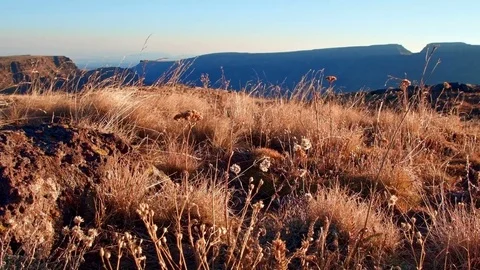 Edge of Kiger Gorge Summit Steens Mountain Near Malhuer Wildlife Refuge 14 Stock Footage 81662095