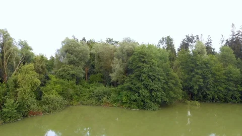 The edge of the lake is covered with trees Video stock 112179168