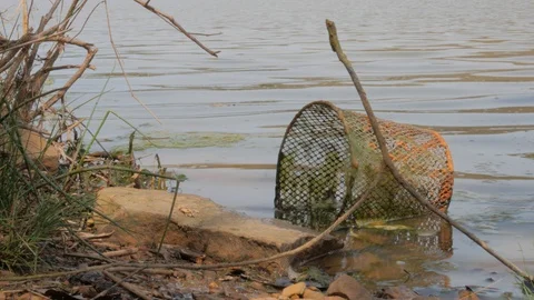 Edge of a Lake Stock Footage 127948980