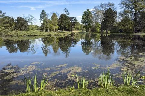 Edge of the lake Stock Photos