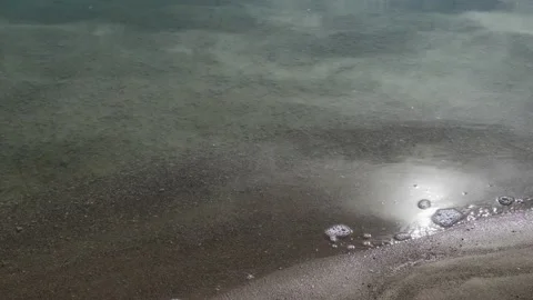 Edge of Lake Water Lapping the Beach Stock Footage 166594235