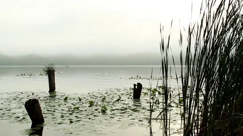 The edge of a lake while there was a soft wind blowing Stock Footage 99118533