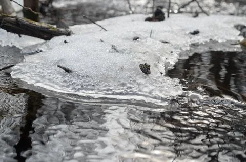 Edge of melting ice by the stream. Stock Photos