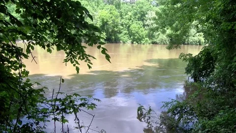 Edge of an overflowing river looking through the trees. 스톡 동영상 90679528