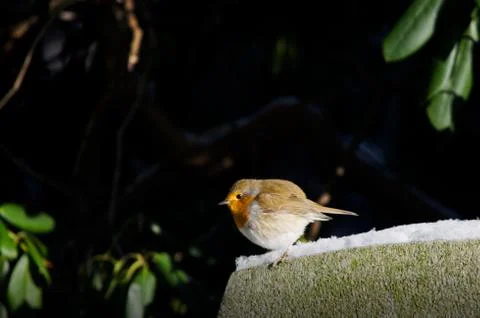 On the edge Stock Photos