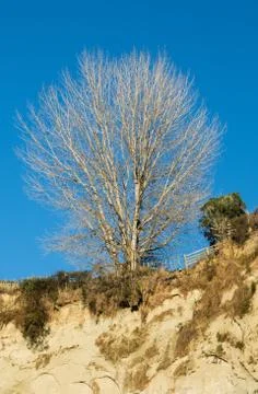 On the edge Foto stock