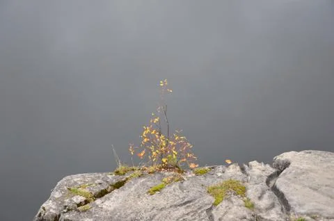 On the edge Stock Photos