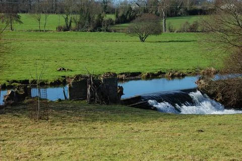 Edge of a river Stock Photos