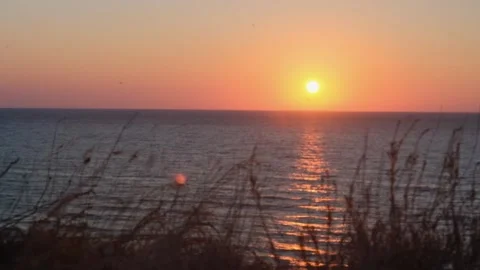 On the edge of a sandy cliff on the Black Sea coast. Kurortnoe, Ukraine Stock Footage 254167633