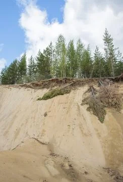 Edge of sandy ridge eroding and trees falling, Finland 스톡 사진