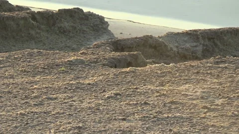 The edge of the shore, sand 스톡 동영상 93418655