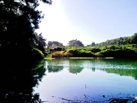 On the edge of silence Foto stock