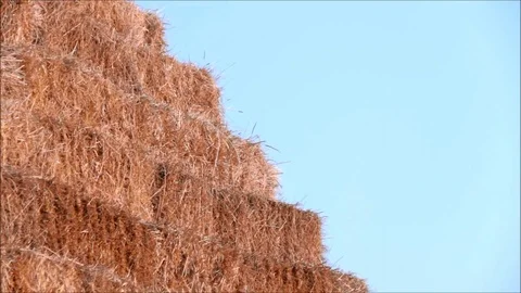 The edge of a straw pyramid with blue sky background Stock Footage 77862794