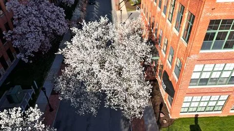 On the Edge Of - Syracuse, NY Photos