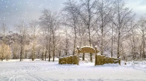 Edge in the winter forest Stock Footage 68537008