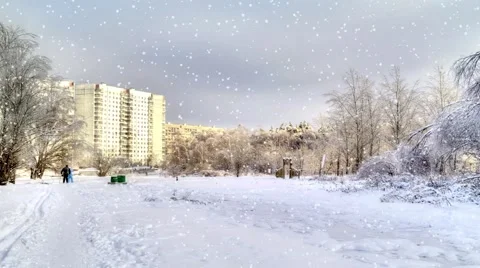 Edge in the winter forest Stock Footage 68537009