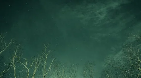 Edge of Woods At Night, Timelapse Sky &amp; Stars Stock Footage 20547352