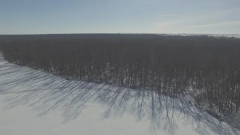 Edge of Woods in Snow [Pan Left] Video stock 128470371