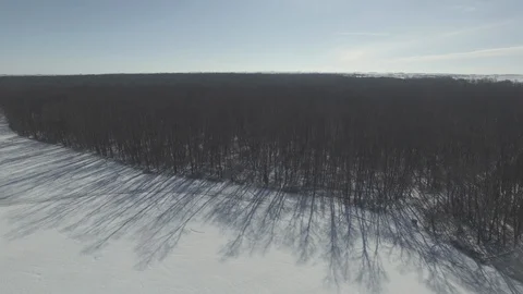 Edge of Woods in Snow [Pan Left] (color corrected) Stock Footage 128489490