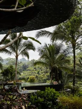 The edges of a luxury infinity pool in a forested resort Stock Photos