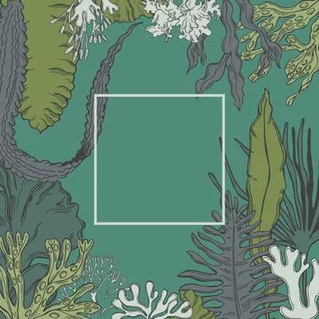 Edible  algae. Vector background. Stock Illustration