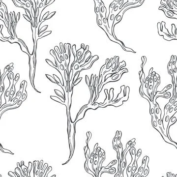 Edible  algae.   Vector  pattern. Stockillustratie